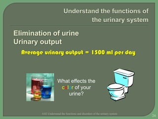 Functions and Disorders of Urinary System | PPTX