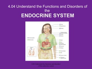 4.04 Understand the Functions and Disorders of
the
ENDOCRINE SYSTEM
4.04 Understand the functions and disorders
of the endocrine system
 