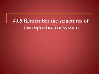 4.05 Remember the structures of
the reproductive system
 