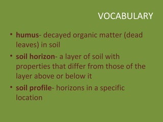 VOCABULARY humus - decayed organic matter (dead leaves) in soil soil horizon - a layer of soil with properties that differ from those of the layer above or below it soil profile - horizons in a specific location 
