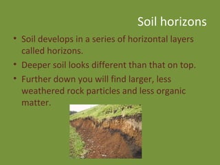 Soil horizons Soil develops in a series of horizontal layers called horizons.  Deeper soil looks different than that on top. Further down you will find larger, less weathered rock particles and less organic matter. 