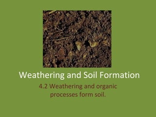 Weathering and Soil Formation 4.2 Weathering and organic processes form soil. 