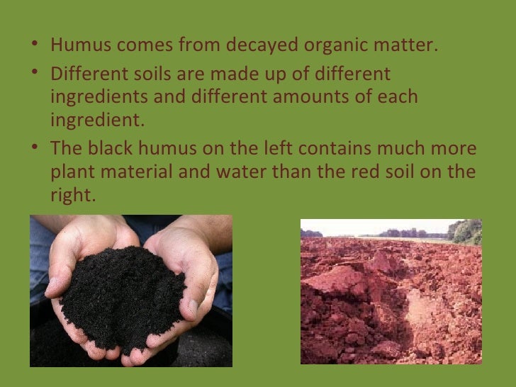 Decayed organic matter in the soil produces what