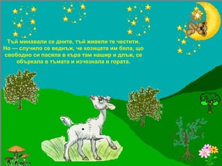 Тъй минавали се дните, тъй живели те честити. Но — случило се веднъж, че козицата им бяла, що свободно си пасяла в къра там нашир и длъж, се объркала в тъмата и изчезнала в гората. 