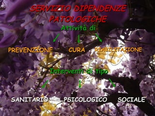 SERVIZIO DIPENDENZE PATOLOGICHE PREVENZIONE Interventi di tipo   SANITARIO  PSICOLOGICO  SOCIALE   RIABILITAZIONE CURA Attività di 