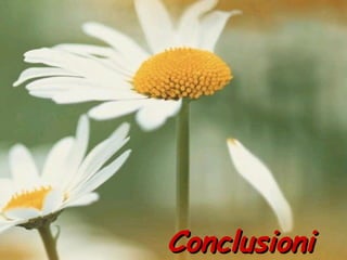   Conclusioni 