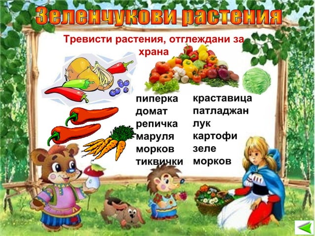 Природата около нас
