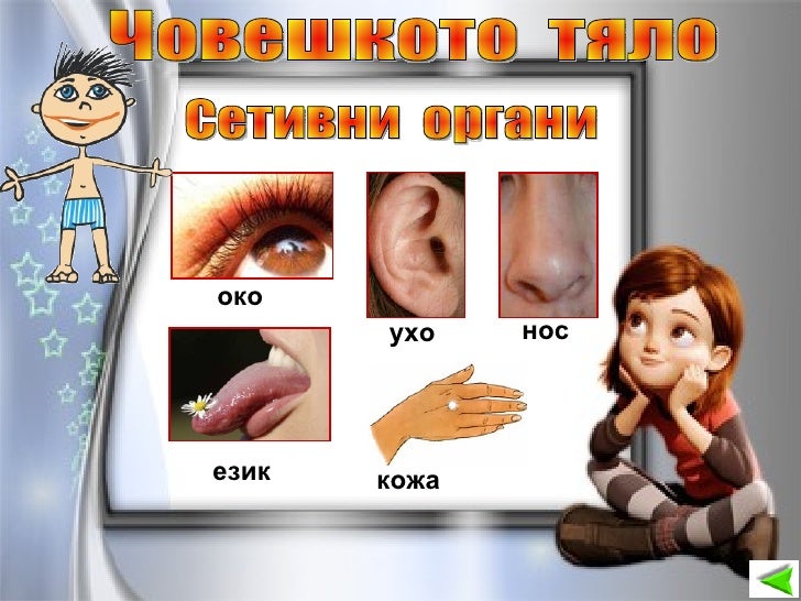 Природата около нас