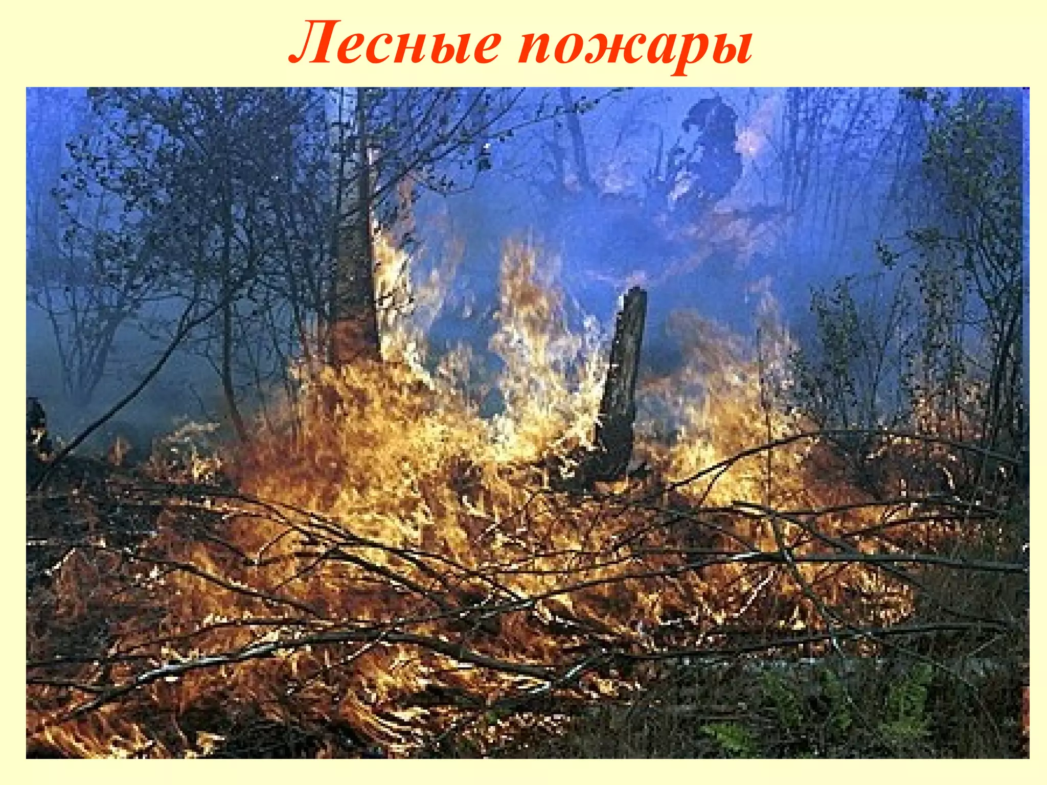 Лесные пожары 