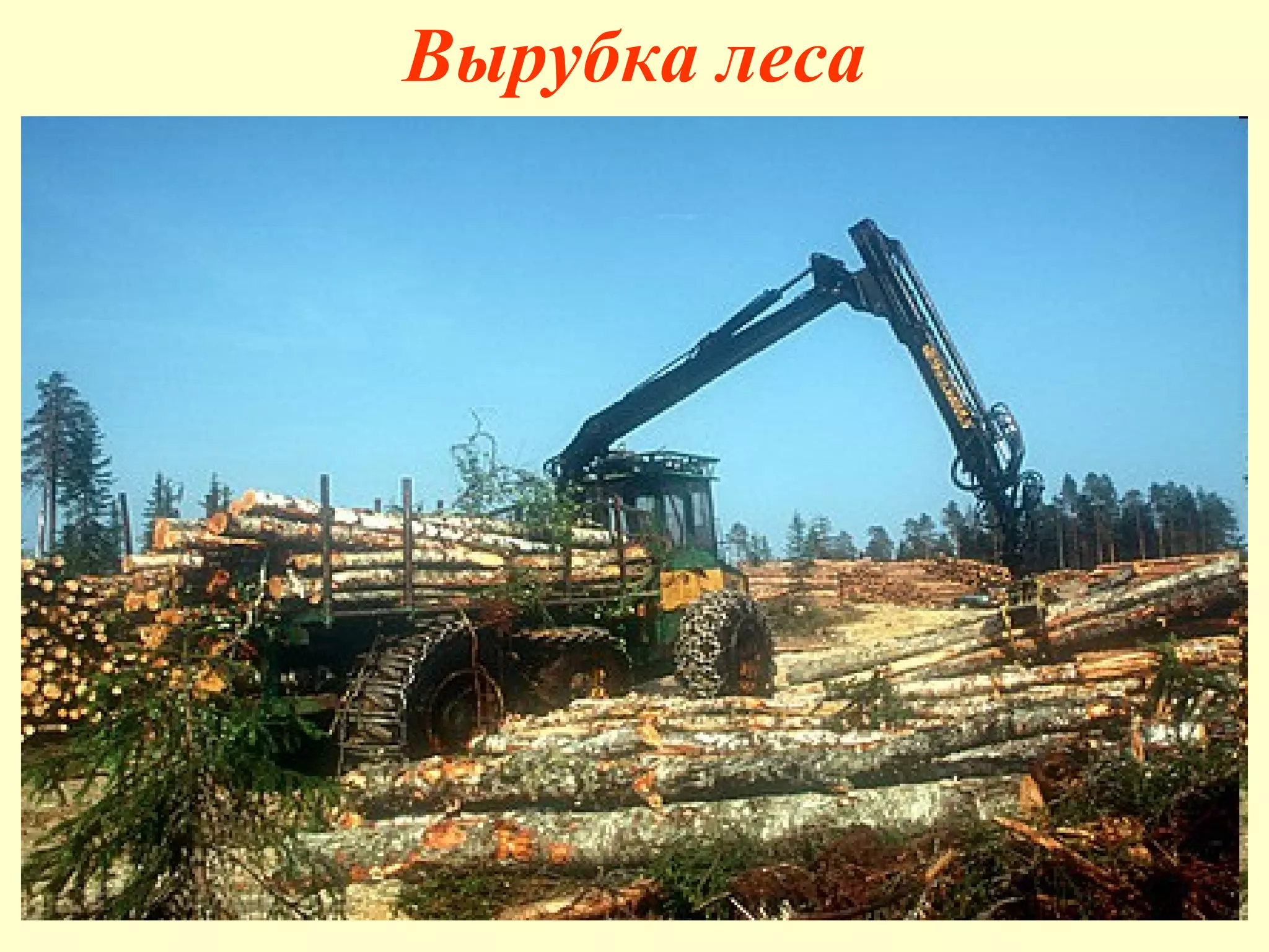Вырубка леса 