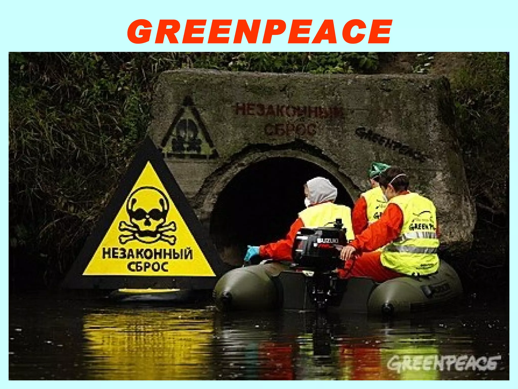 GREENPEACE 