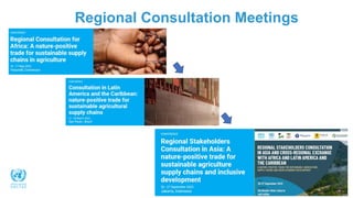 Regional Consultation Meetings
 