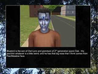 Bluebird is the son of Owl Lynn and grandson of 2 nd  generation spare Oak.  His jaw/chin whatever is a little weird, and he has that big nose that I think comes from Pao/Meadow face.  