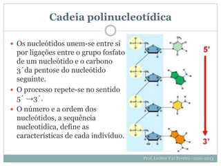 Cadeia polinucleotídica
 Os nucleótidos unem-se entre si
por ligações entre o grupo fosfato
de um nucleótido e o carbono
3´da pentose do nucleótido
seguinte.
 O processo repete-se no sentido
5´ →3´.
 O número e a ordem dos
nucleótidos, a sequência
nucleotídica, define as
características de cada indivíduo.
Prof. Leonor Vaz Pereira - maio 2013
 