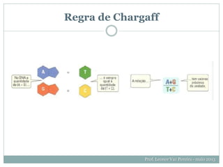 Regra de Chargaff
Prof. Leonor Vaz Pereira - maio 2013
 