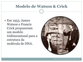 Modelo de Watson & Crick
 Em 1953, James
Watson e Francis
Crick propuseram
um modelo
tridimensional para a
estrutura da
molécula de DNA.
Prof. Leonor Vaz Pereira - maio 2013
 
