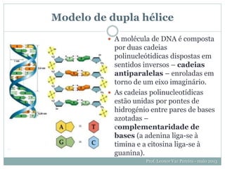 Modelo de dupla hélice
Prof. Leonor Vaz Pereira - maio 2013
 A molécula de DNA é composta
por duas cadeias
polinucleótidicas dispostas em
sentidos inversos – cadeias
antiparalelas – enroladas em
torno de um eixo imaginário.
 As cadeias polinucleotídicas
estão unidas por pontes de
hidrogénio entre pares de bases
azotadas –
complementaridade de
bases (a adenina liga-se à
timina e a citosina liga-se à
guanina).
 