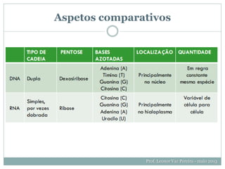 Aspetos comparativos
Prof. Leonor Vaz Pereira - maio 2013
 