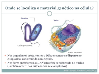 Onde se localiza o material genético na célula?
 Nos organismos procariontes o DNA encontra-se disperso no
citoplasma, constituindo o nucleoide.
 Nos seres eucariontes, o DNA encontra-se sobretudo no núcleo
(também ocorre nas mitocôndrias e cloroplastos)
Prof. Leonor Vaz Pereira - maio 2013
 