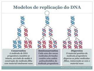 Modelos de replicação do DNA
Prof. Leonor Vaz Pereira - maio 2013
Conservativa
A molécula de DNA
progenitora mantém-se
intacta, servindo de molde à
construção da molécula-filha
com material totalmente novo
Semiconservativa
Cada uma das novas
moléculas formadas
contém uma cadeia
polinucleotídica da
molécula progenitora
Dispersiva
O material genético da
molécula progenitora
dispersa-se pelas moléculas-
filhas, misturando-se com o
material novo
 
