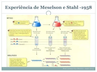 Experiência de Meselson e Stahl -1958
Prof. Leonor Vaz Pereira - maio 2013
 