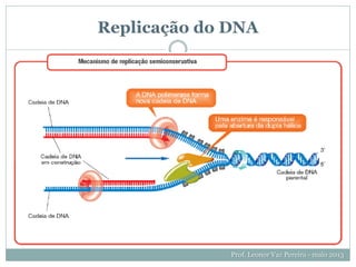 Prof. Leonor Vaz Pereira - maio 2013
Replicação do DNA
 