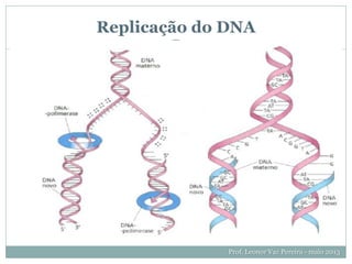 Prof. Leonor Vaz Pereira - maio 2013
Replicação do DNA
 