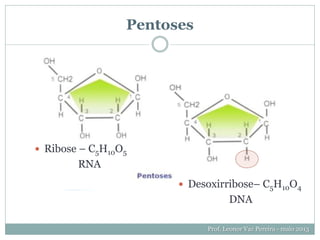 Pentoses
Prof. Leonor Vaz Pereira - maio 2013
 Ribose – C5H10O5
RNA
 Desoxirribose– C5H10O4
DNA
 