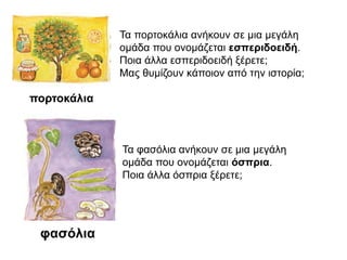 πορτοκάλια
Τα πορτοκάλια ανήκουν σε μια μεγάλη
ομάδα που ονομάζεται εσπεριδοειδή.
Ποια άλλα εσπεριδοειδή ξέρετε;
Μας θυμίζουν κάποιον από την ιστορία;
φασόλια
Τα φασόλια ανήκουν σε μια μεγάλη
ομάδα που ονομάζεται όσπρια.
Ποια άλλα όσπρια ξέρετε;
 