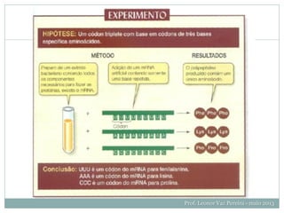 Experiências
Prof. Leonor Vaz Pereira - maio 2013
 