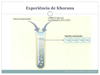 Experiência de Khorana
Prof. Leonor Vaz Pereira - maio 2013
 
