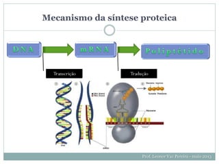 Mecanismo da síntese proteica
Prof. Leonor Vaz Pereira - maio 2013
 