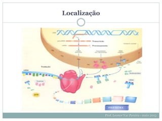 Localização
Prof. Leonor Vaz Pereira - maio 2013
 