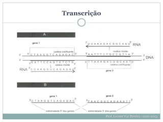 Transcrição
Prof. Leonor Vaz Pereira - maio 2013
 