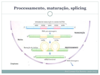 Processamento, maturação, splicing
Prof. Leonor Vaz Pereira - maio 2013
 