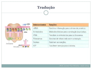 Tradução
Prof. Leonor Vaz Pereira - maio 2013
 