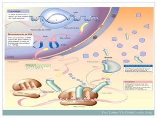 Síntese
Prof. Leonor Vaz Pereira - maio 2013
 