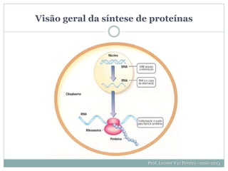 Visão geral da síntese de proteínas
Prof. Leonor Vaz Pereira - maio 2013
 