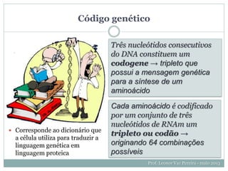 Código genético
Prof. Leonor Vaz Pereira - maio 2013
Três nucleótidos consecutivos
do DNA constituem um
codogene → tripleto que
possui a mensagem genética
para a síntese de um
aminoácido
Cada aminoácido é codificado
por um conjunto de três
nucleótidos de RNAm um
tripleto ou codão →
originando 64 combinações
possíveis
 Corresponde ao dicionário que
a célula utiliza para traduzir a
linguagem genética em
linguagem proteica
 