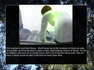 She reached in and took Venus.  She'd move her to the incubator at home as quick as possible, and then be back to place a fake, dead-looking version of Venus.  It'd be so realistic- still warm for a couple hours, with a bit of Venus's blood even- that not even a doctor would be able to tell that it'd never been alive. 