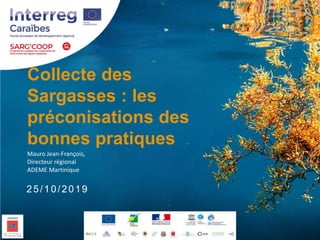 Collecte des
Sargasses : les
préconisations des
bonnes pratiques
Mauro Jean-François,
Directeur régional
ADEME Martinique
25/10/2019
 
