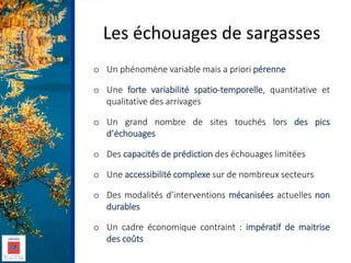 Les échouages de sargasses
o Un phénomène variable mais a priori pérenne
o Une forte variabilité spatio-temporelle, quanti...