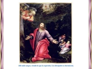 Allí sudó sangre, viendo lo que le esperaba. Los discípulos se durmieron.
 