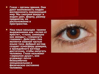 Глаза – органы зрения. Они дают возможность людям воспринимать окружающий мир. Мы смотрим вокруг и видим цвет, форму, размер предметов, их расположение в пространстве. Наш язык насыщен  такими выражениями как «ослеп от ярости», «глаза, сияющие как звезды», «сверкнуть глазами». Действие глаз является важной частью языка тела. Добрый взгляд создает атмосферу доверия, а враждебного взгляда достаточно, чтобы напугать человека. Глаза называют «зеркалом души», они отражают почти безошибочно эмоциональное и физическое состояние человека.   