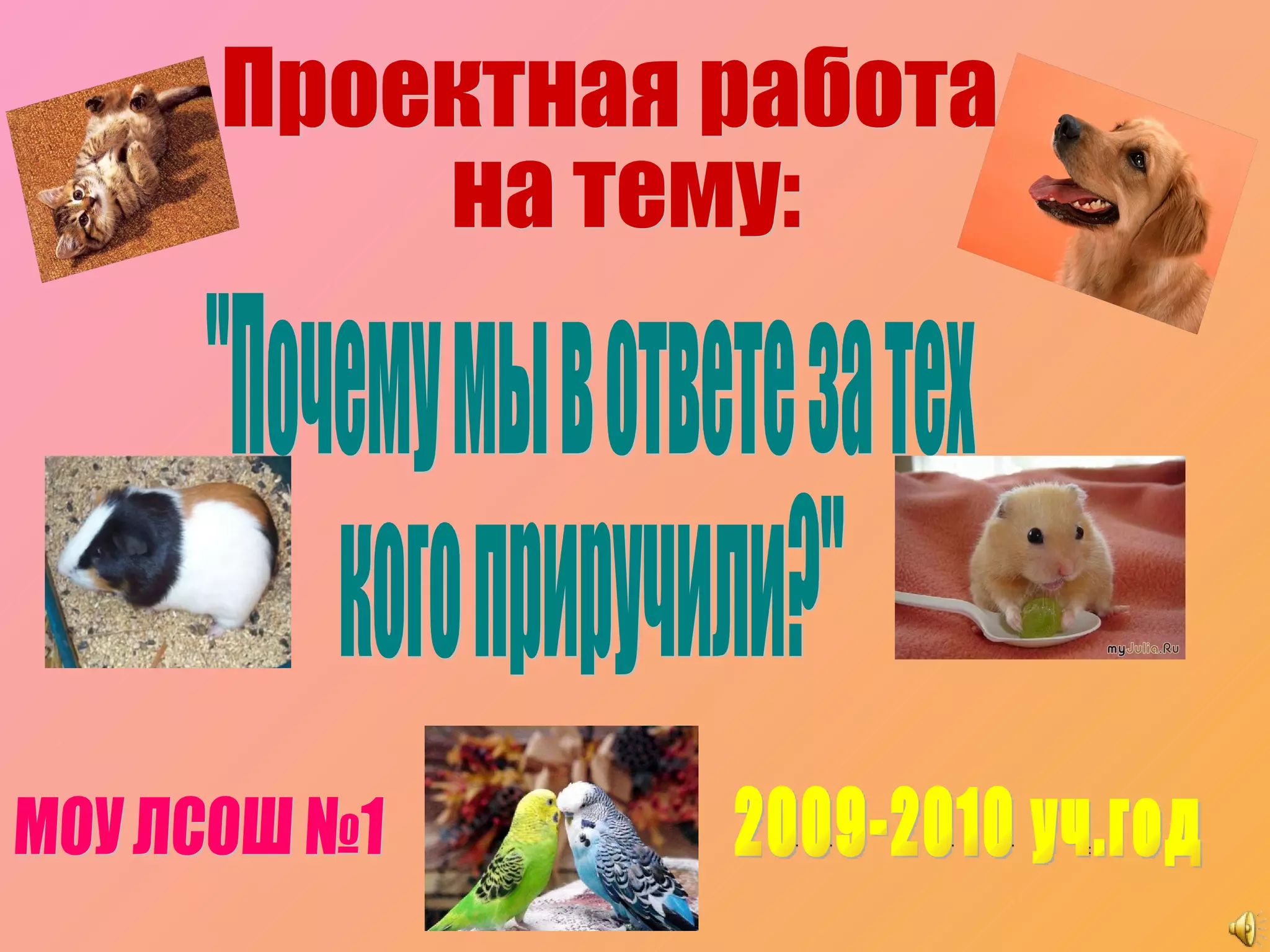 1 \"а\" класс. Проектная работа. | PPT