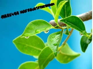 Le lycée (gymnasium)Le musée (museum)