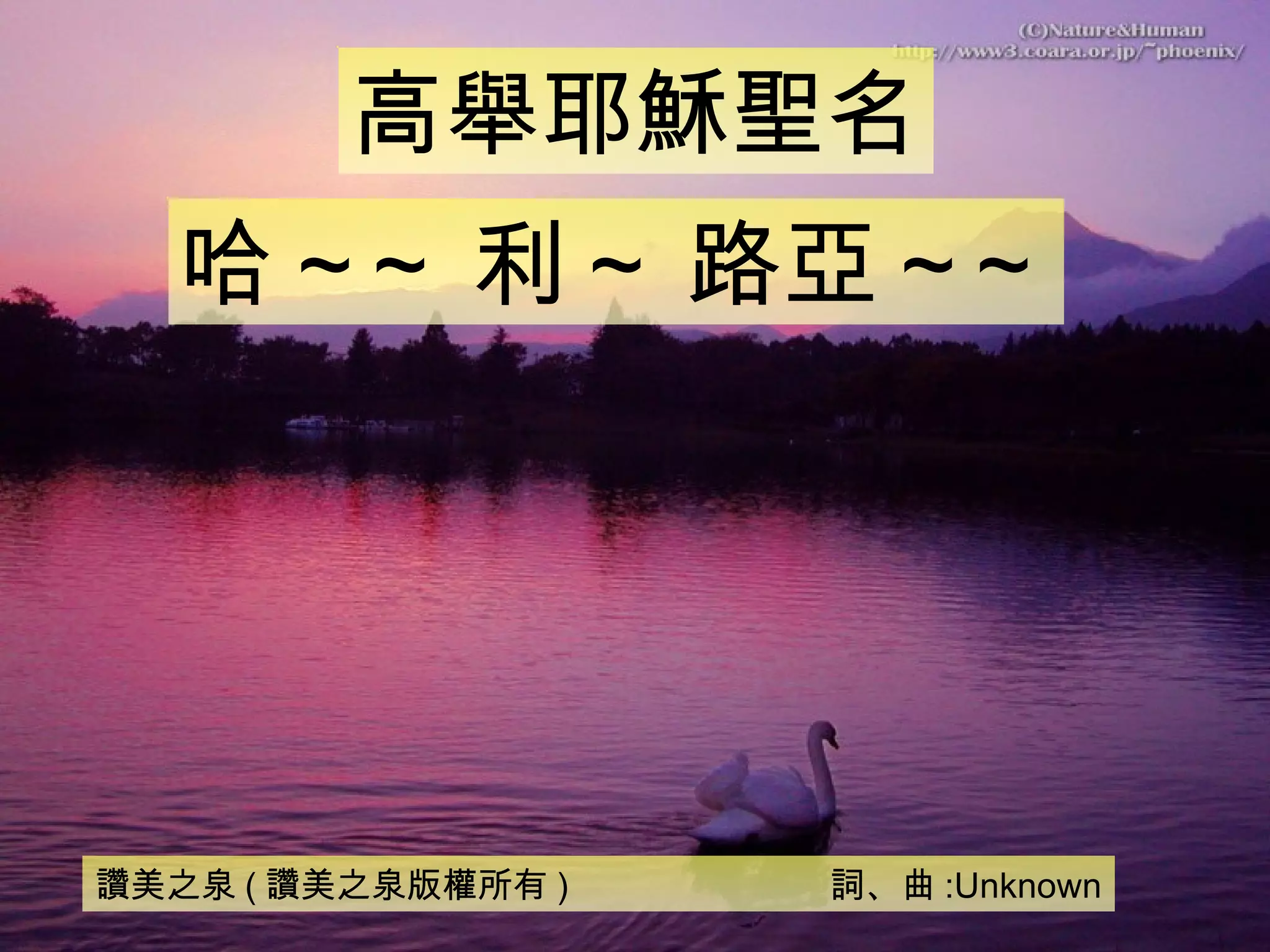 讚美之泉4 一切歌頌讚美 | PPT