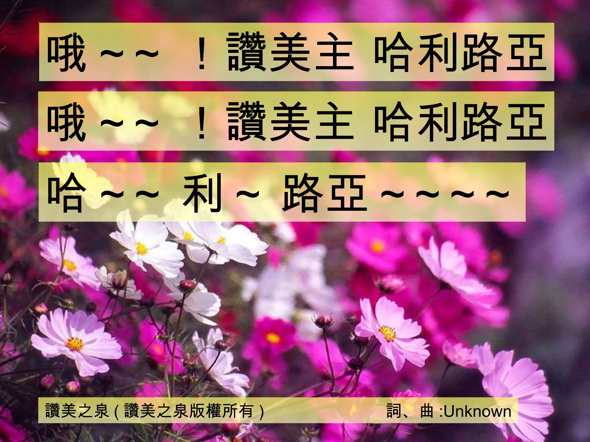 讚美之泉4 一切歌頌讚美 | PPT