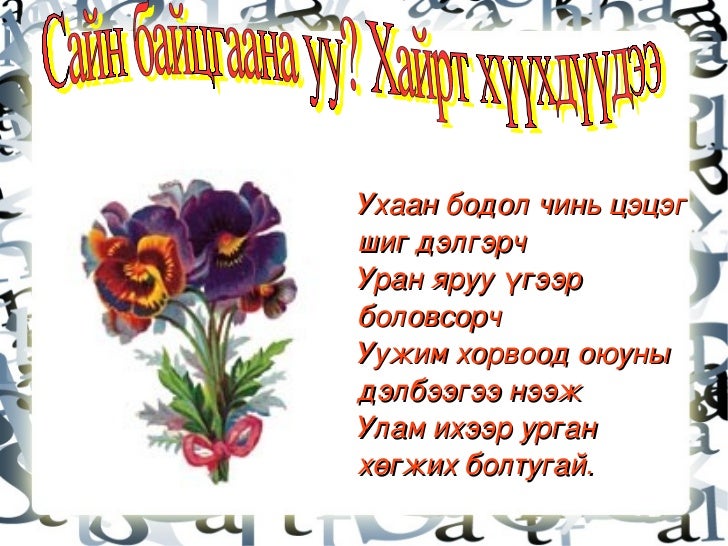 4 анги залхуу баавгай цэрэн орших