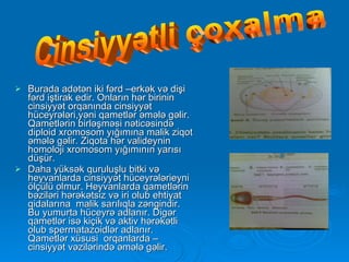 Burada adətən iki fərd –erkək və dişi fərd iştirak edir. Onların hər birinin cinsiyyət orqanında cinsiyyət hüceyrələri,yəni qametlər əmələ gəlir. Qametlərin birləşməsi nəticəsində diploid xromosom yığımına malik ziqot əmələ gəlir. Ziqota hər valideynin homoloji xromosom yığımının yarısı düşür. Daha yüksək quruluşlu bitki və heyvanlarda cinsiyyət hüceyrələrieyni ölçülü olmur. Heyvanlarda qametlərin bəziləri hərəkətsiz və iri olub ehtiyat qidalarına  malik sarılıqla zəngindir. Bu yumurta hüceyrə adlanır. Digər qametlər isə kiçik və aktiv hərəkətli olub spermatazoidlər adlanır. Qametlər xüsusi  orqanlarda – cinsiyyət vəzilərində əmələ gəlir. Cinsiyyətli çoxalma 